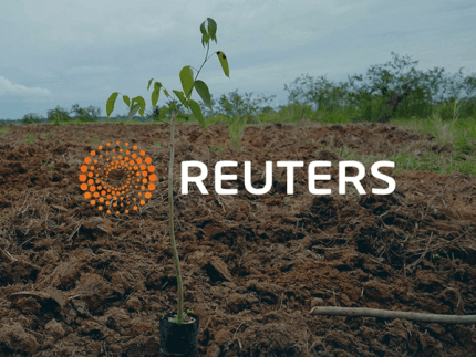 Cultivo featured in worldwide exclusive on World Bank's IFC tapping blockchain for carbon offsets